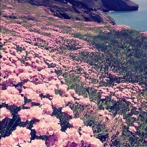 Meet your Posher, Talise